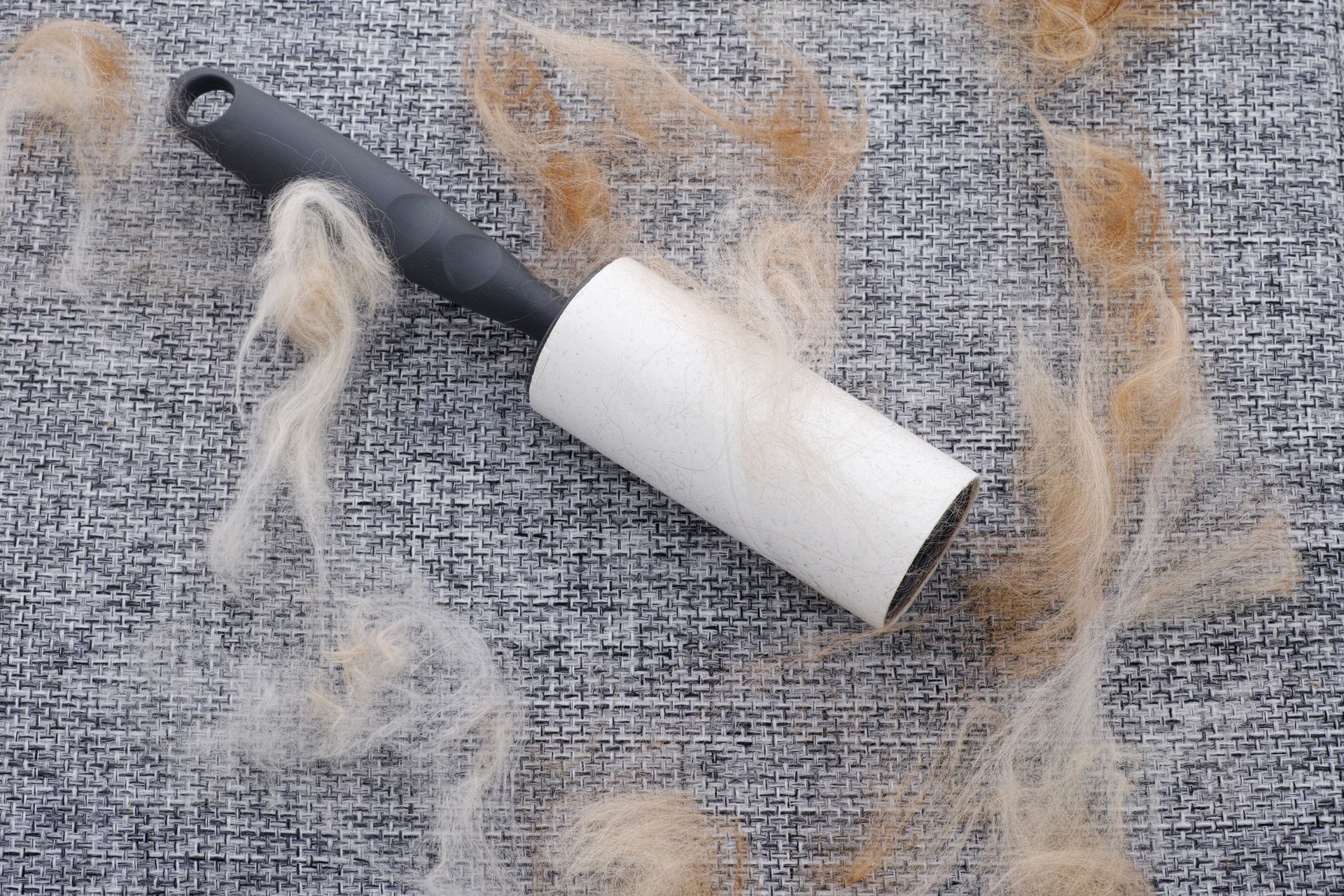 A lint roller with animal fur and fluff on it
